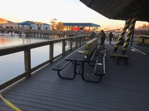 Wonder Works new deck with cable railings